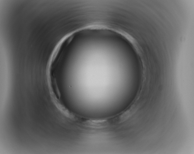 X0000113870864200910011111