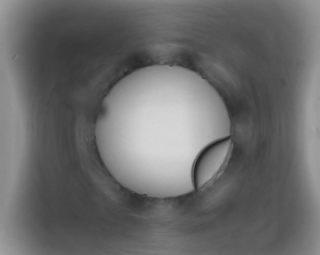 X0000113870865200910011110