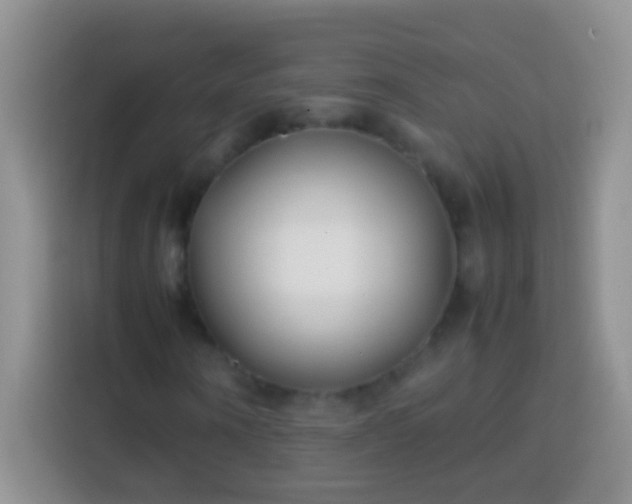 X0000113870866200910011110