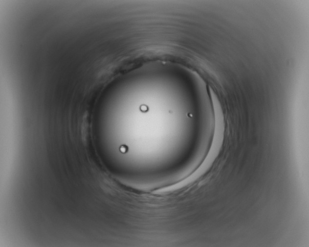 X0000113870868200910011110