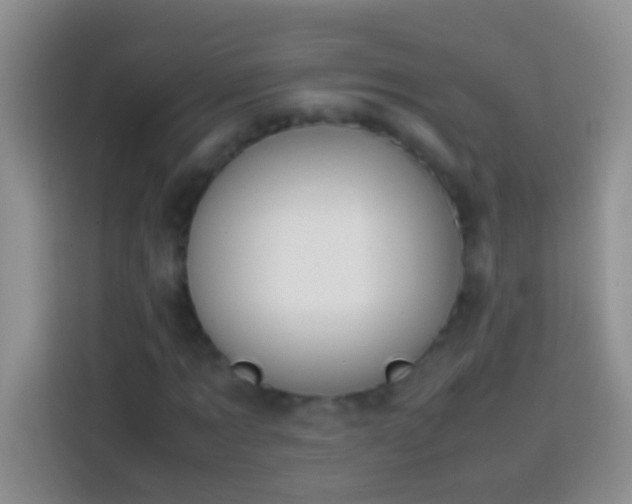 X0000113870869200910011110