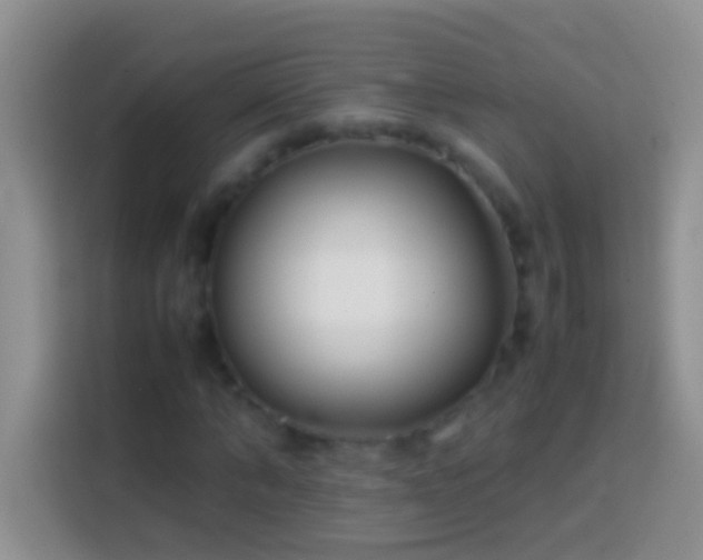 X0000113870870200910011110