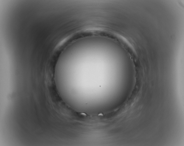 X0000113870871200910011110