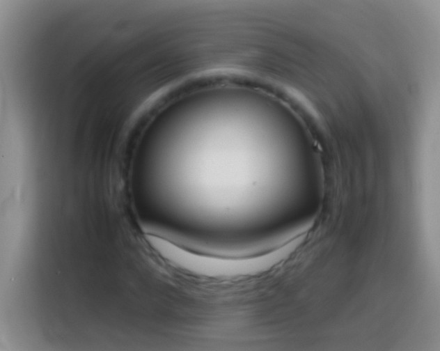 X0000113870872200910011110