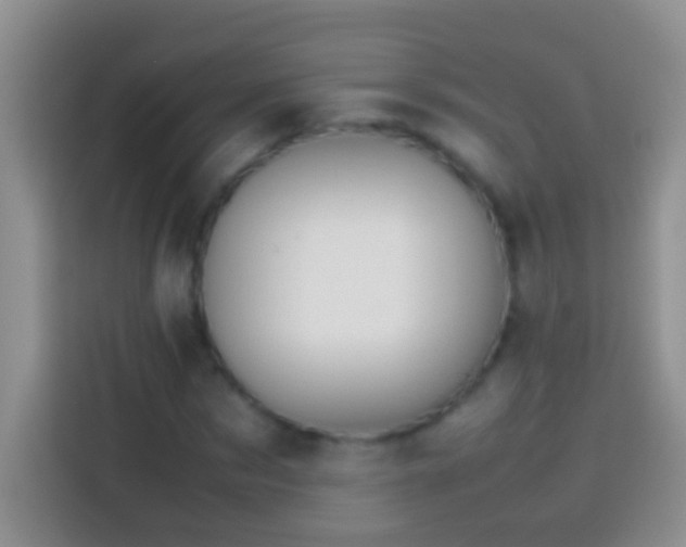 X0000113870873200910011110