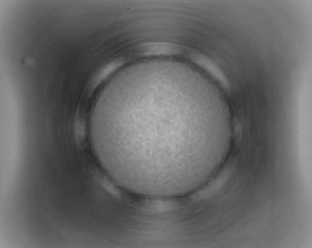 X0000113870874200910011110