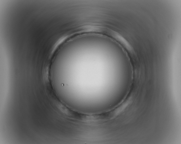 X0000113870875200910011110