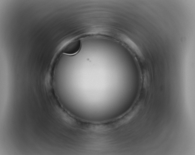 X0000113870876200910011110