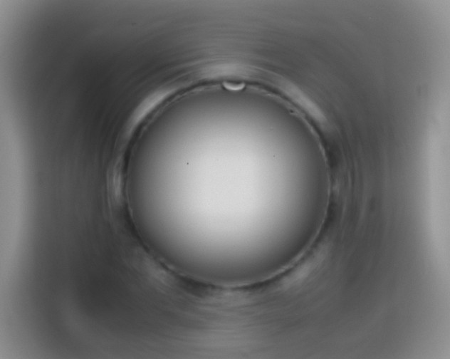 X0000113870877200910011110