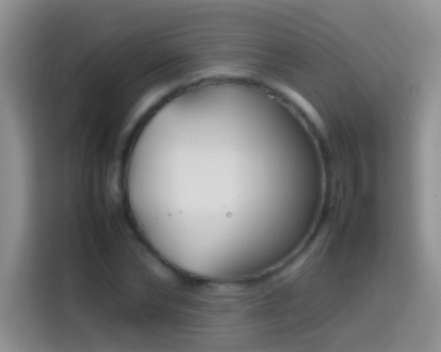 X0000113870878200910011110