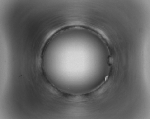 X0000113870879200910011110