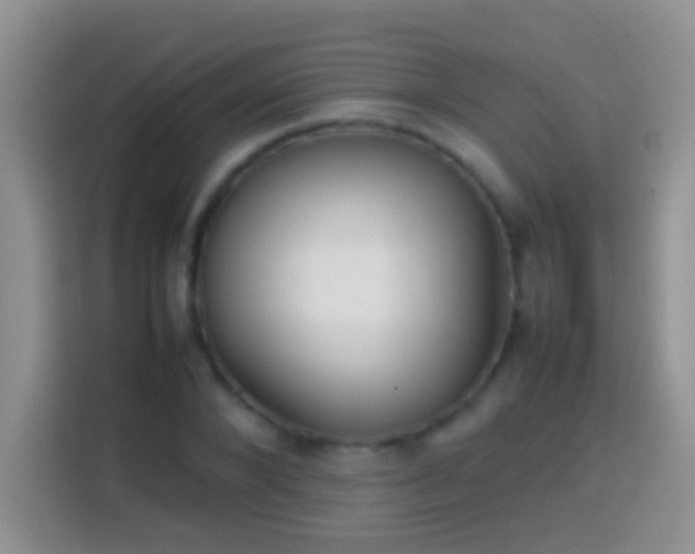 X0000113870880200910011110