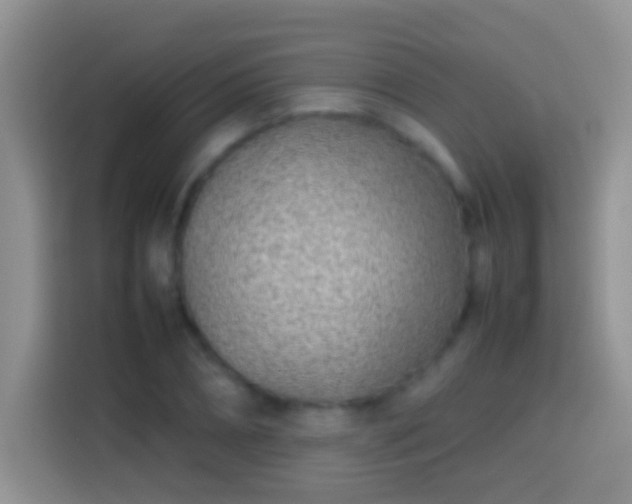 X0000113870882200910011110