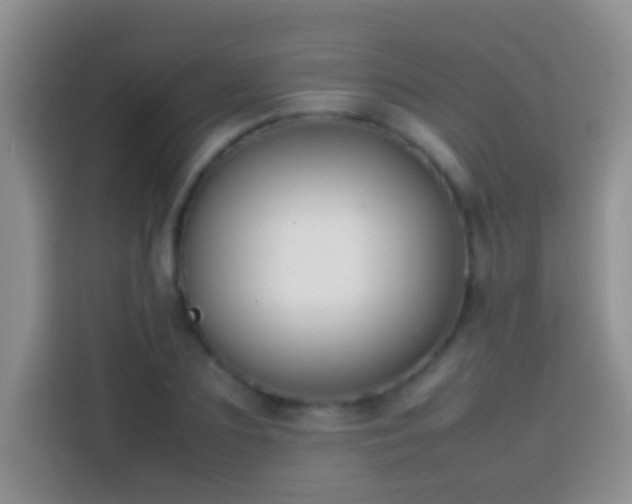 X0000113870883200910011110