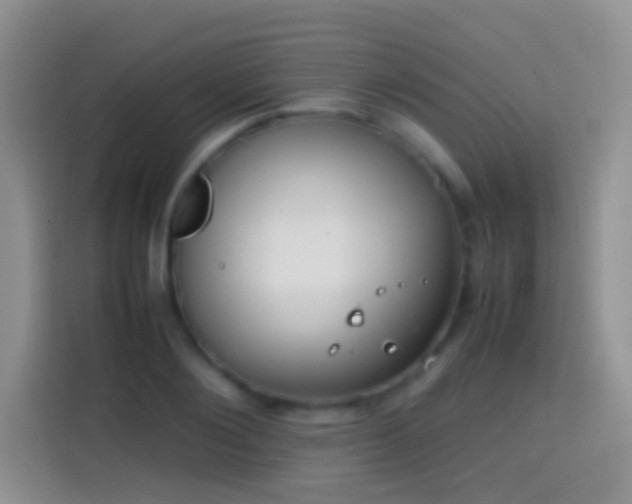 X0000113870884200910011110