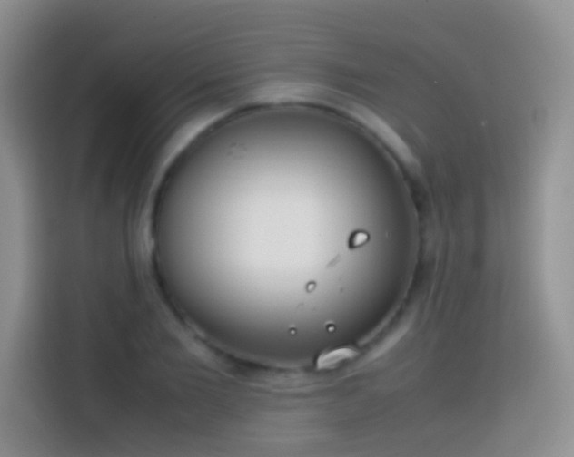 X0000113870885200910011110