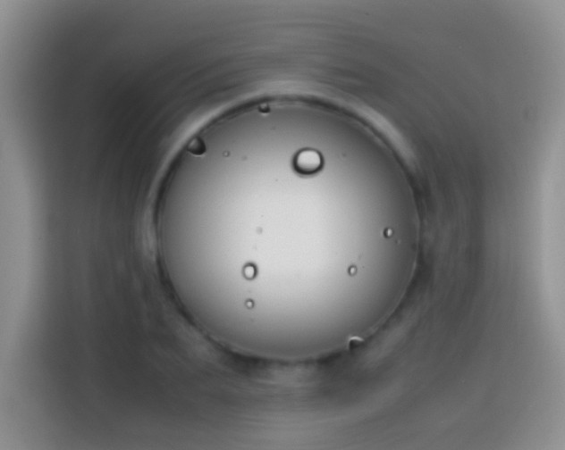 X0000113870887200910011110