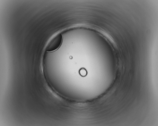 X0000113870888200910011110