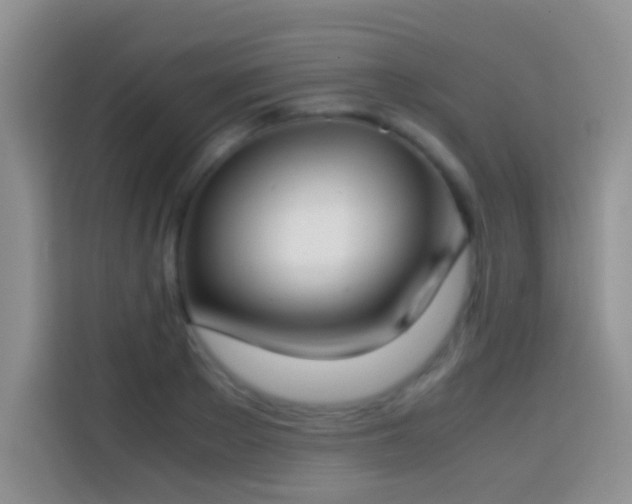 X0000113870889200910011110