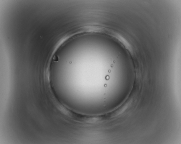 X0000113870891200910011110