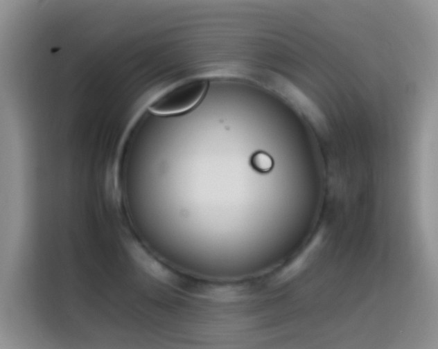 X0000113870892200910011110