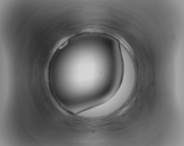 X0000113870893200910011110