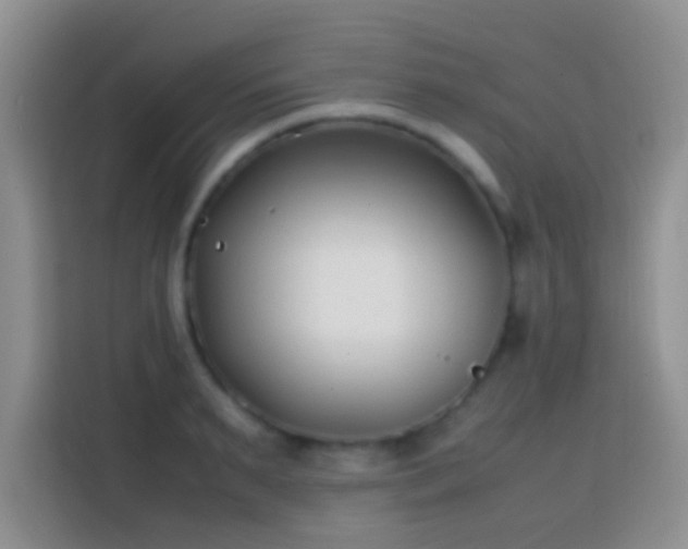 X0000113870895200910011110