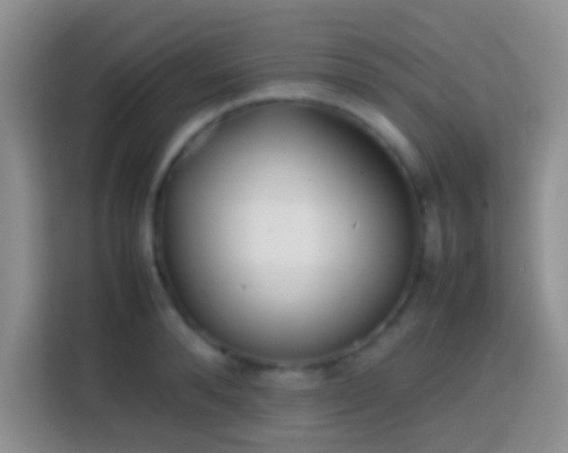 X0000113870896200910011110