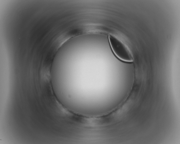 X0000113870897200910011110