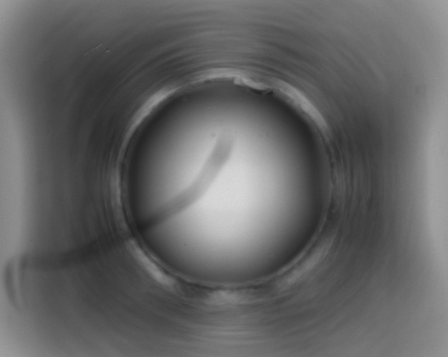 X0000113870898200910011110