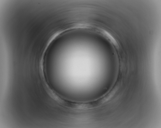 X0000113870899200910011110