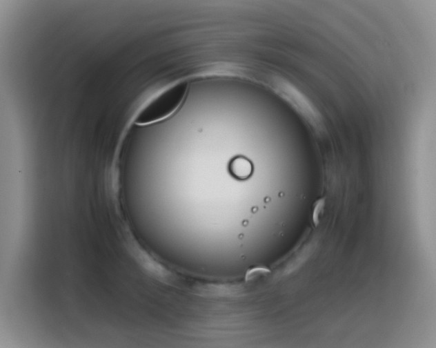 X0000113870900200910011110