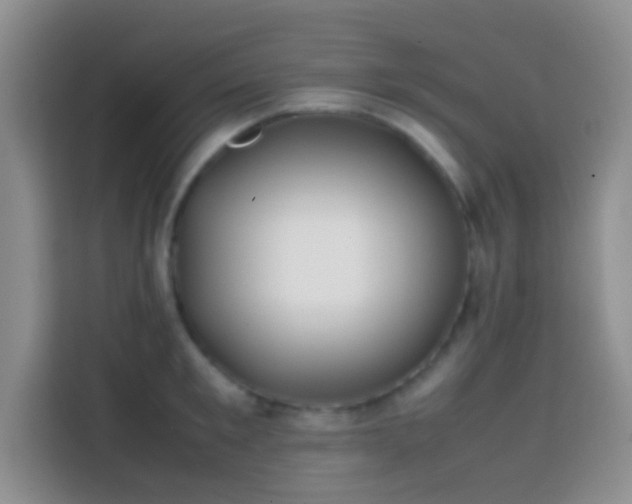 X0000113870901200910011110