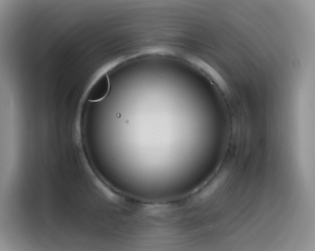 X0000113870902200910011110