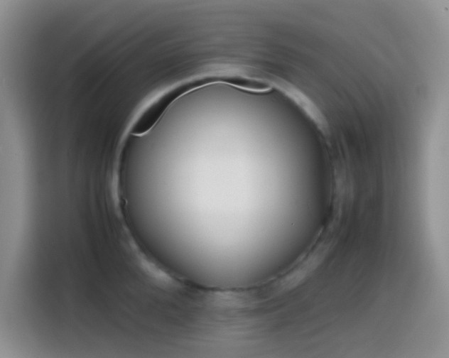 X0000113870904200910011110