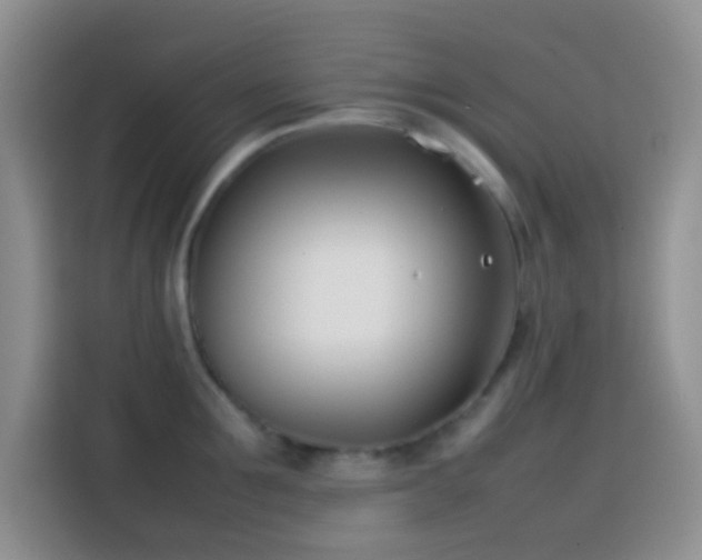 X0000113870907200910011110