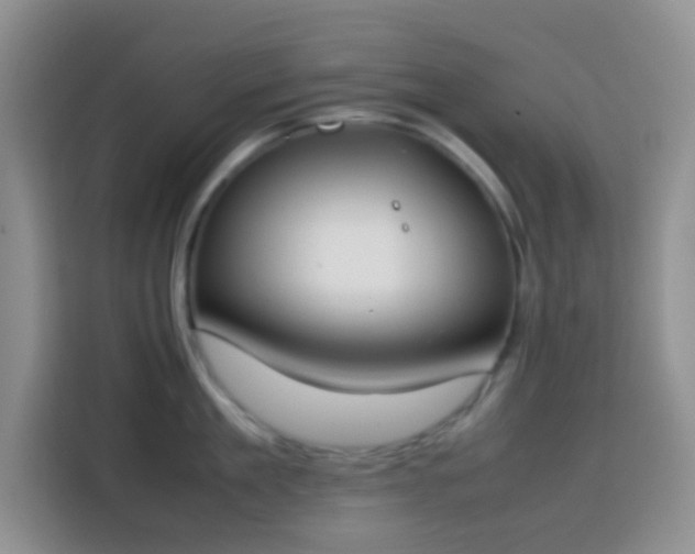 X0000113870909200910011110