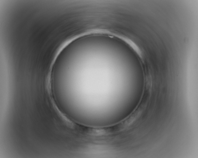 X0000113870911200910011110