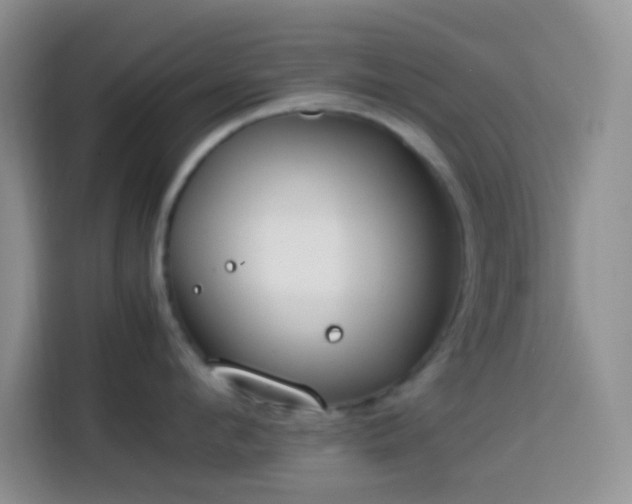 X0000113870912200910011110