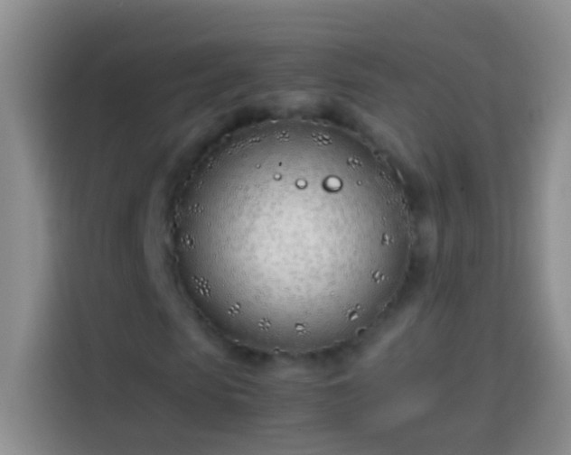 X0000113870913200910011109