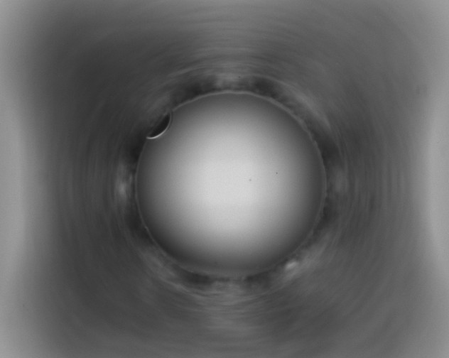 X0000113870914200910011109