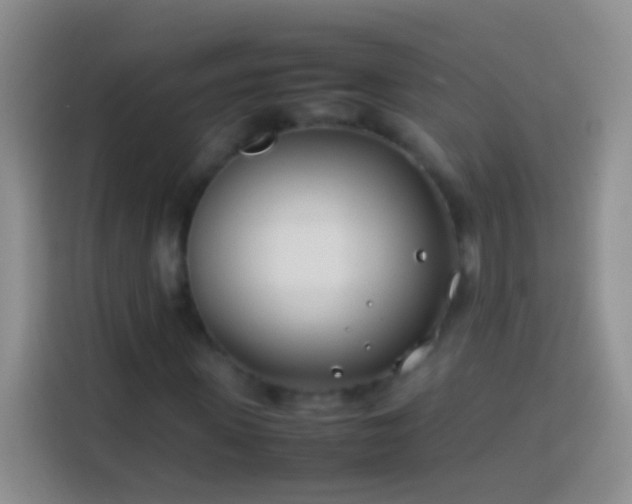 X0000113870915200910011109