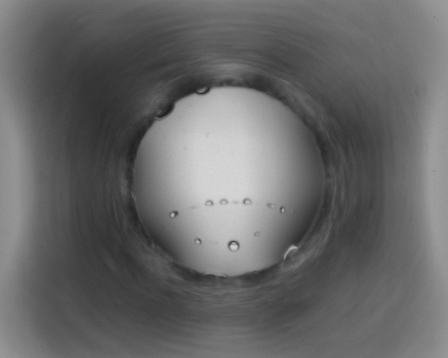 X0000113870916200910011109