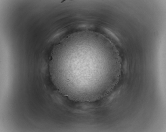 X0000113870917200910011109