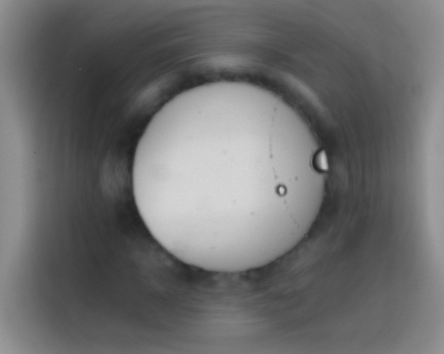 X0000113870918200910011109