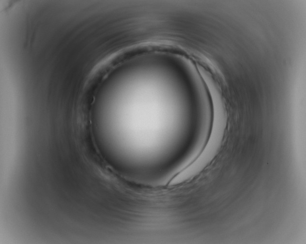 X0000113870920200910011109