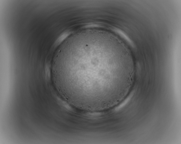 X0000113870921200910011109