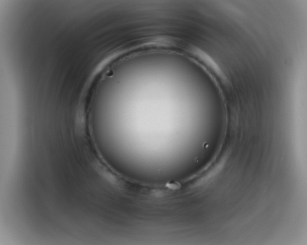 X0000113870923200910011109