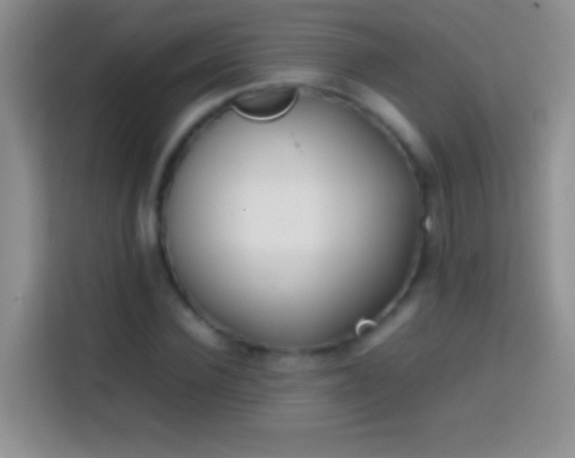 X0000113870924200910011109