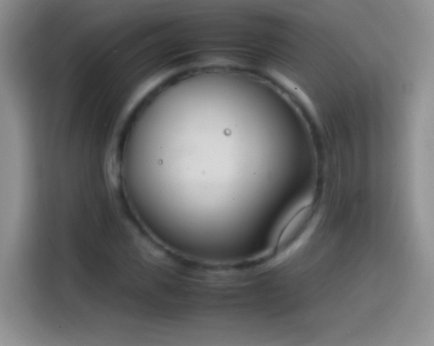 X0000113870925200910011109